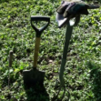 My tools - machete, spade, garden fork and gloves